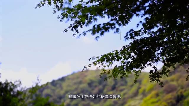 战锤：全面战争2